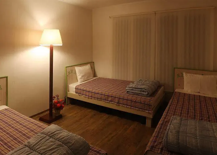 Family & Friends House Apartment